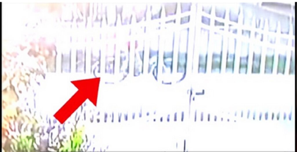 TRAGJIKE/ Pamjet e fundit të Mateos së vogël para se të vritej mateoo