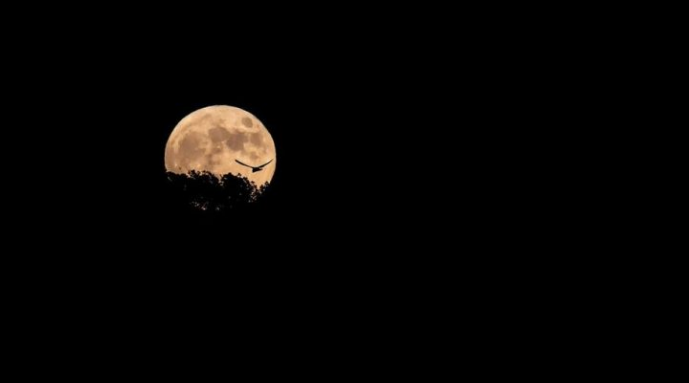VIDEO/ Këtë të premte ndodh eklipsi më i gjatë hënor në 500 vitet e fundit, ja sa do të zgjasë moon