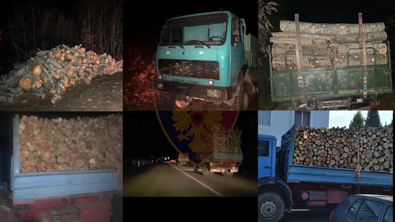 Bllokohen pesë kamionë me dru, nëntë persona nën hetim, mes tyre tekniku i pyjeve shkoder
