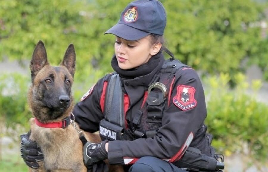 Nga “Riku” te “Lisa”, Policia nxjerr qentë në shitje për 8 000-20 000 lekë 1452849264big foto 1