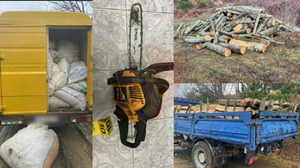 271384067 321080219752199 8641187307101256647 n