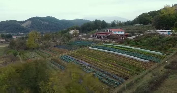 Thirrja e katërt e IPARD II, Rama: Momenti, për ata që duan të investojnë në turizmin rural agro 696x367 1