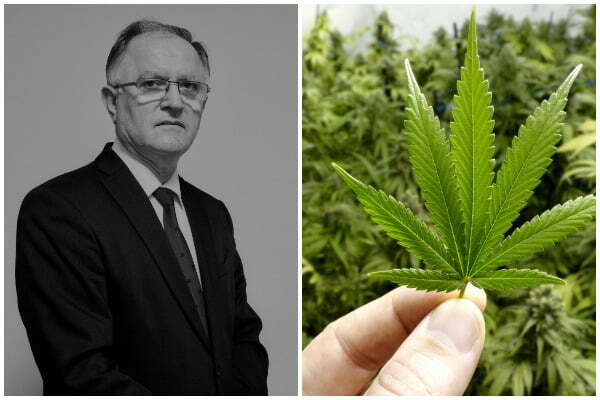 Ish-Ministri i Brendshëm pro legalizimit të kanabisit: Ndikon në uljen e krimit bajramyzeiraj