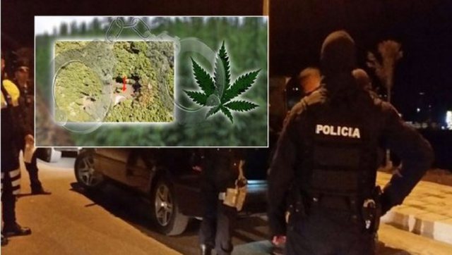Aksioni anti-drogë, policia kontrollon 300 objekte në Vlorë 53F1B5A8 63A2 41BC AED1 8250610259C6