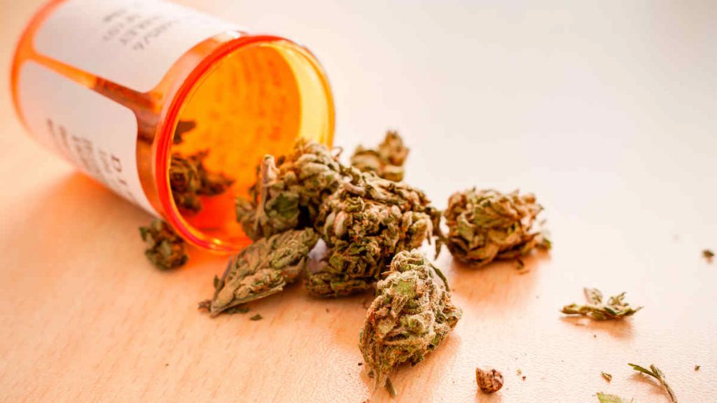 Shteti i 37-të në SHBA legalizon marijuanën Marijuana RX vtpqff 1024x576 1