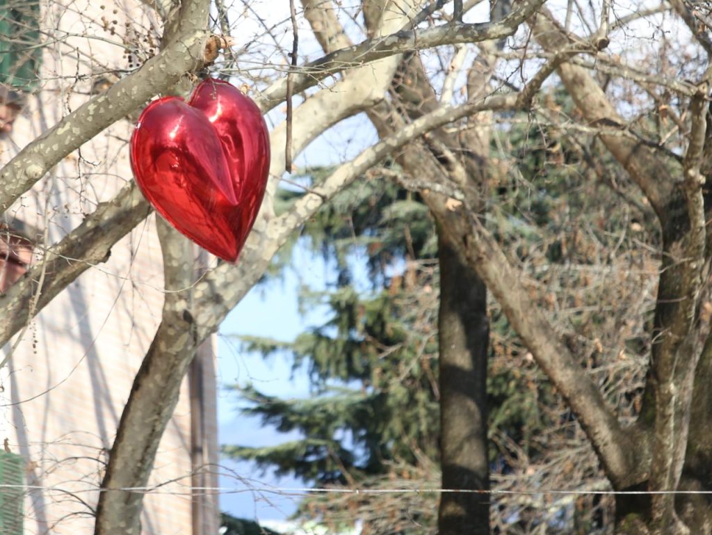 Shen Valentini Tirane 9