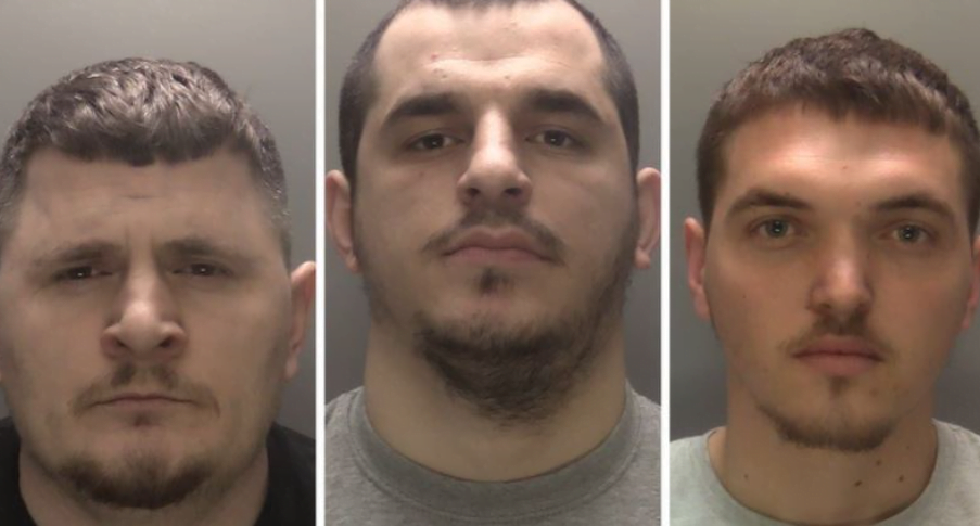 1.3 milion paund “shtëpi bari”, qentë e policisë zbulojnë fermën e tre shqiptarëve në Angli angli