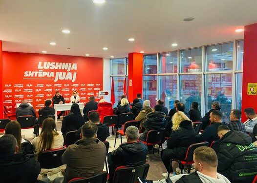 Kryemadhi fushatë për kandidatin e Berishës në Lushnjë kryemadhi 1 526x375 1