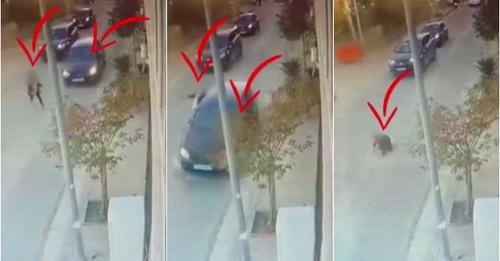 Kalimtarja futet me vrap në rrugë, përplaset nga makina safe image 1