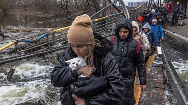 OKB nxjerr shifrat, ja sa civilë janë vrarë deri më tani në Ukrainë