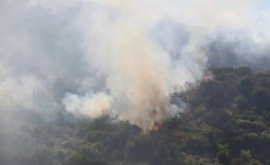 Vlorë, pemët e ullinjve bëhen “shkrumb” nga flakët 4 129 380x233 1