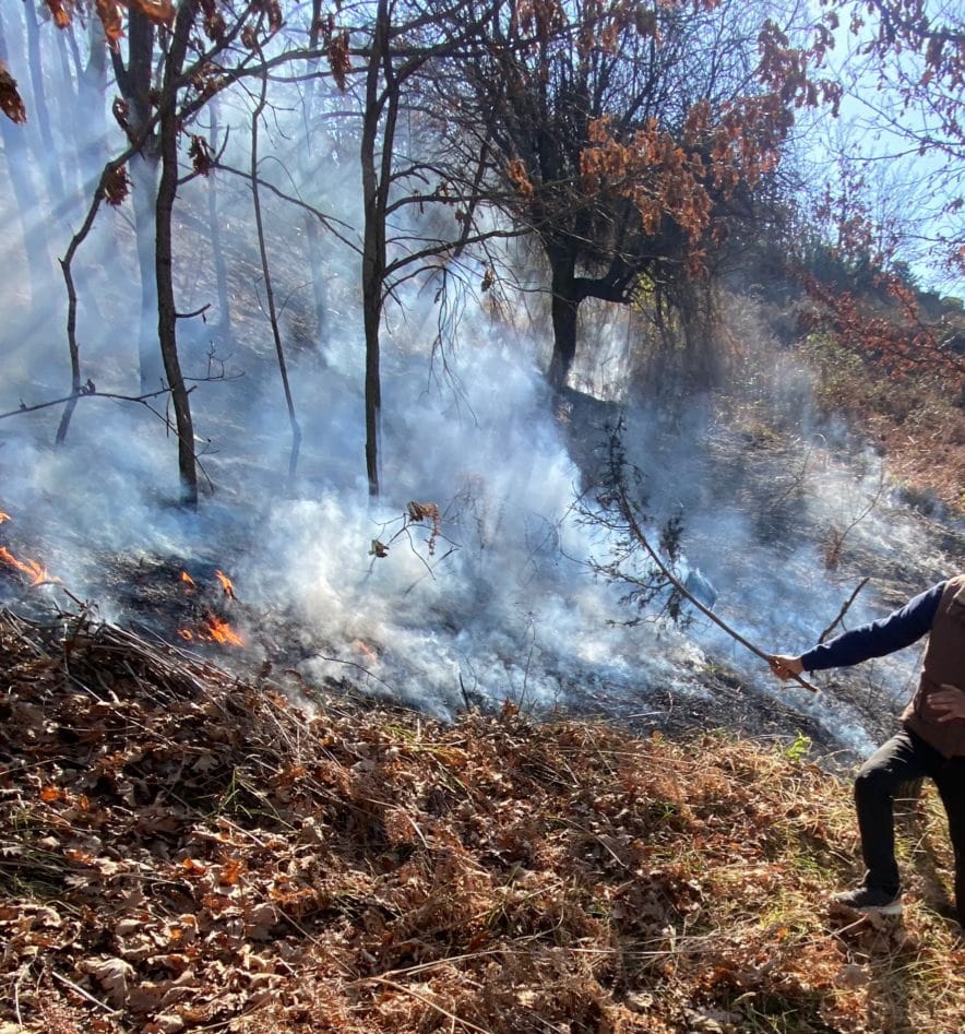 Zjarret po bëjnë kërdinë në Bashkinë e Klosit, kërkohet ndërhyrje nga ajri 1 7b923688 e0d7 4d0a a03b 0256559ce899