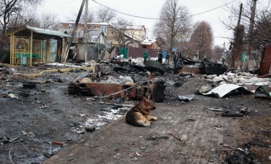 Babai qan mbi trupin e pajetë të djalit të tij, u vra nga bombardimet ruse 8 1