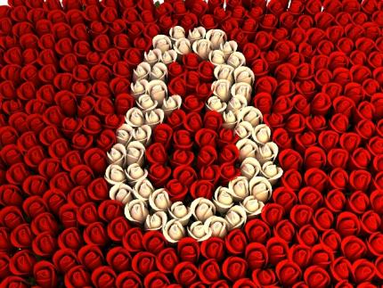 8 Marsi, Dita Ndërkombëtare e Gruas 8 mars18