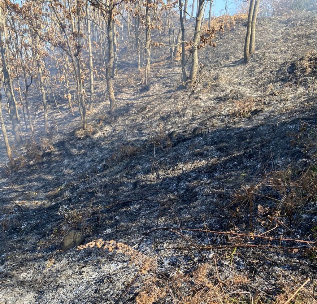 Zjarret po bëjnë kërdinë në Bashkinë e Klosit, kërkohet ndërhyrje nga ajri 2 8cf2f1ac c26a 4370 8c16 9057a7bb09a4