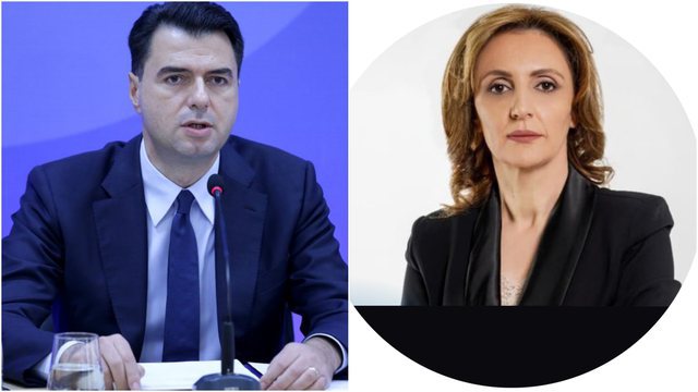 Deputetja e radhës e PD që kërkon largimin e Bashës: Ja kemi borxh demokratëve bashkimin Basha bakiu