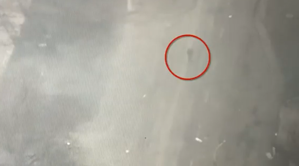 Tronditëse/ Rusët vrasin me tank civilin në Mariopol (Video) Civil ukraine