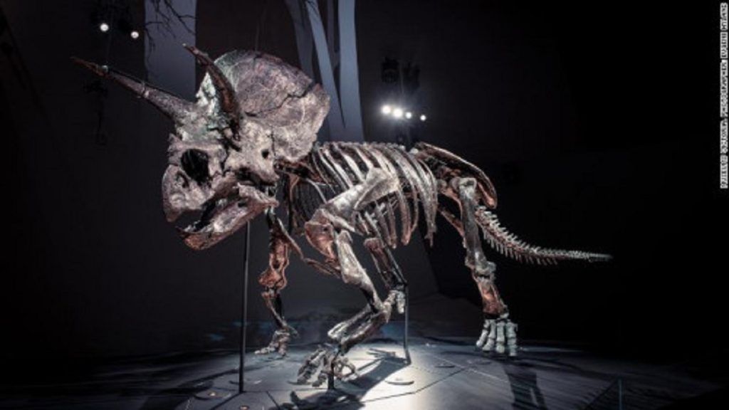 Gjendet fosili i dinozaurit Horridus/ Çfarë e bënte atë të ishte një barngrënës i frikshëm dinozaur
