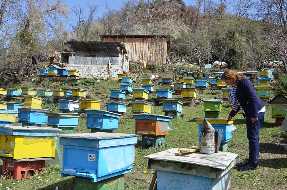 Floreta, “Bleta Punëtore” që mban familjen blete