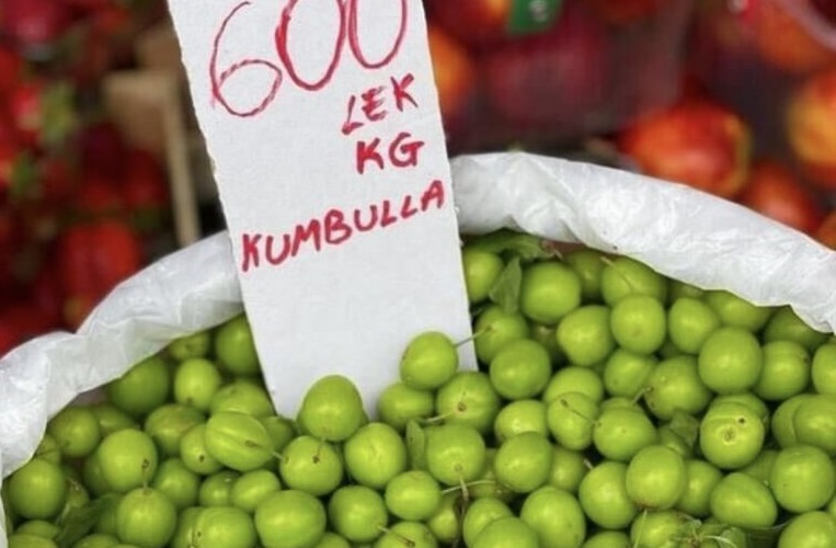 Çmenduria vazhdon, shkon 6 mijë lekë 1 kg kumbulla jeshile në Shqipëri kumbulla 1
