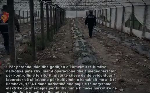 Policia gjen serat ku lulëzon hashashi rturturturturutrtu