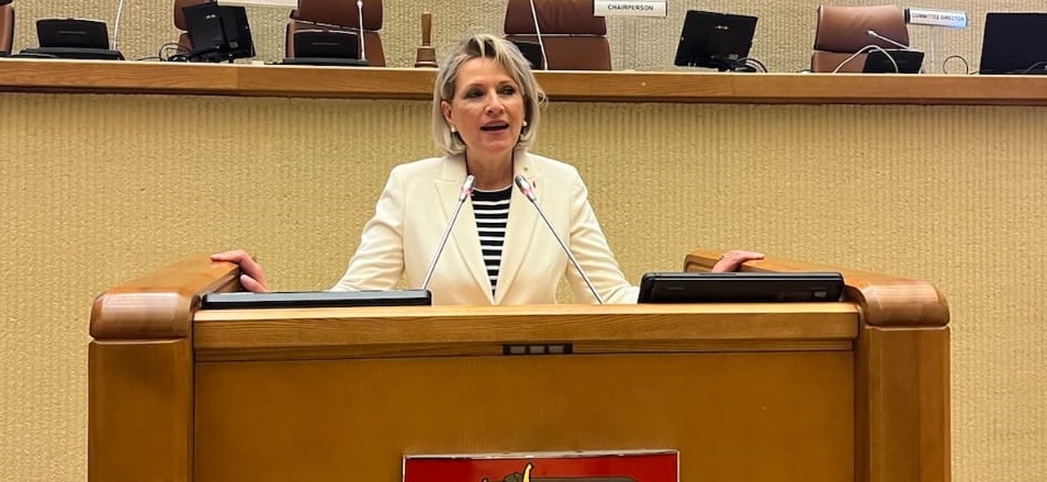 Mimi Kodheli zgjidhet kryetare e Grupit Parlamentar Socialist të Asamblesë Parlamentare të NATO-s 777878d9 6f57 417f 8b37 f1aaeec81c46