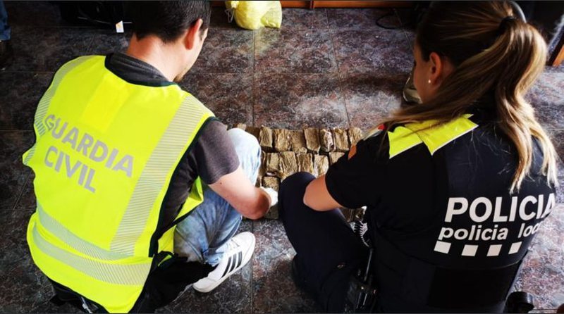 Shkatërrohet banda me shqiptarë dhe serbë që kultivonin marijuanë në Spanjë 800 0 8414d394ca51f6fdb0523dfb72d2d7c3