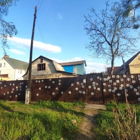 Ukrainë, aty ku qytetarët vizatojnë lule mbi gjurmët e plumbave FR2Z9DGXIAIGgID 450x450 1