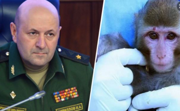 Rusia bën deklaratën e fortë për linë e majmunëve: Ka dalë nga laboratorët e SHBA-ve kirILL