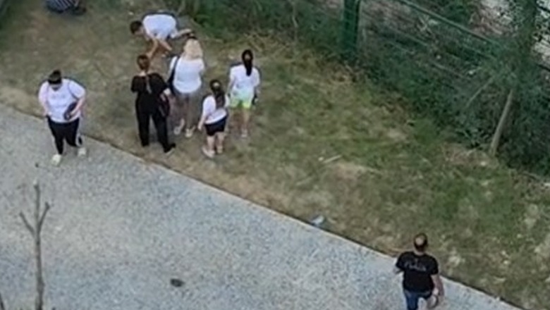 VIDEO/ Qytetarët irritohen ndaj vandalit që gjuajti me gurë tigrin, dalin në mbrojtje të Kopshtit të ri Zoologjik 1654510782 Screenshot1