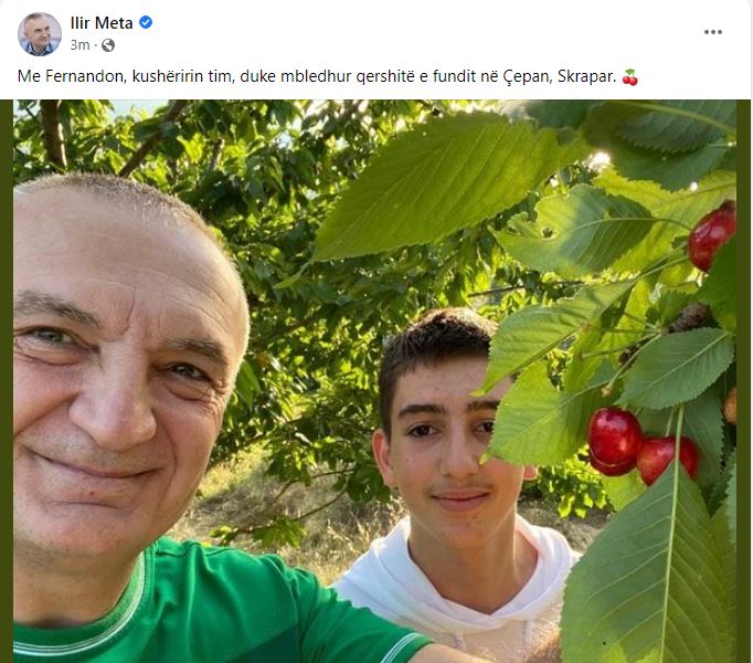 Ilir Meta shkon në Çepan të Skraparit: Duke mbledhur qershitë e fundit. Me Fernandon…! 1 Meta 1 1