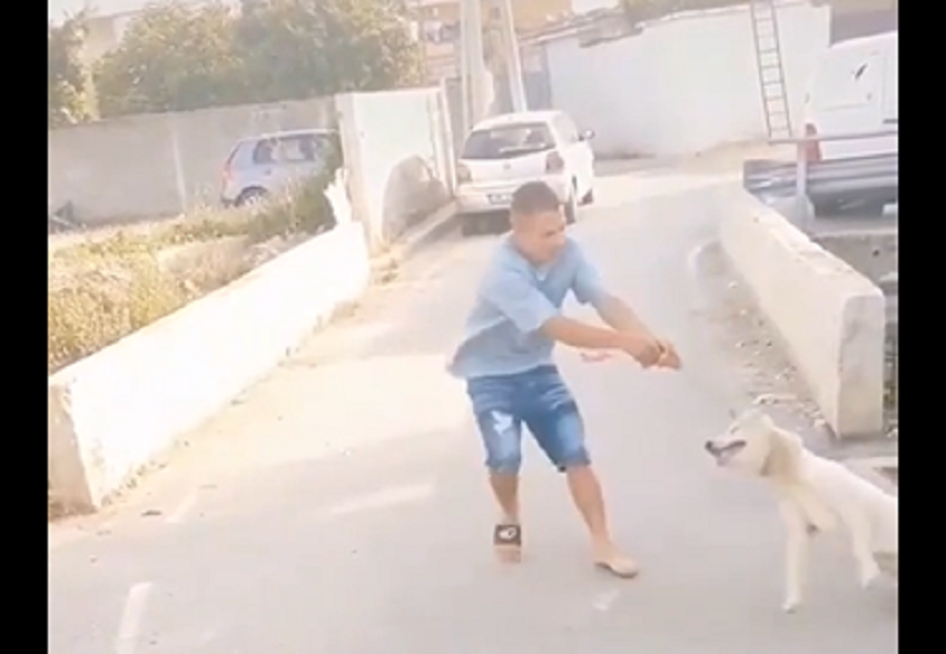 Keqtrajtoi mizorisht qenin, policia shpall në kërkim të riun qeni