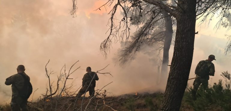 Prania e municioneve luftarake në ishullin e Sazanit, shtohet frika nga përhapja e zjarrit zjarri sazanii 770x372 1