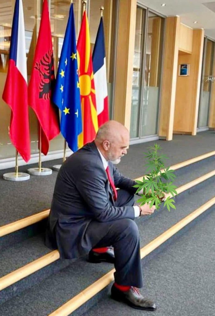 Rama e poston si foto të ditës, Sali Berisha i ndërhyn me “Photoshop”: Me bimën e zemrës 1 31BC9E6E 874B 4EBA 805D 84CD60D399CC