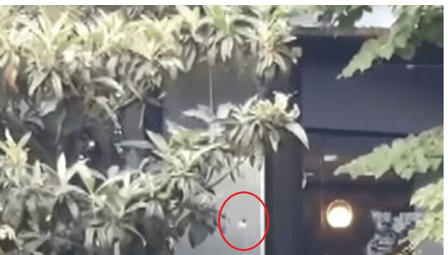 Zbardhen detajet/ Qëlloi me armë drejt një grupi fëmijësh në lulishte, shënjestra e 49-vjeçarit në Shkodër një 13-vjeçar 640 0 62c3e9f015ae5