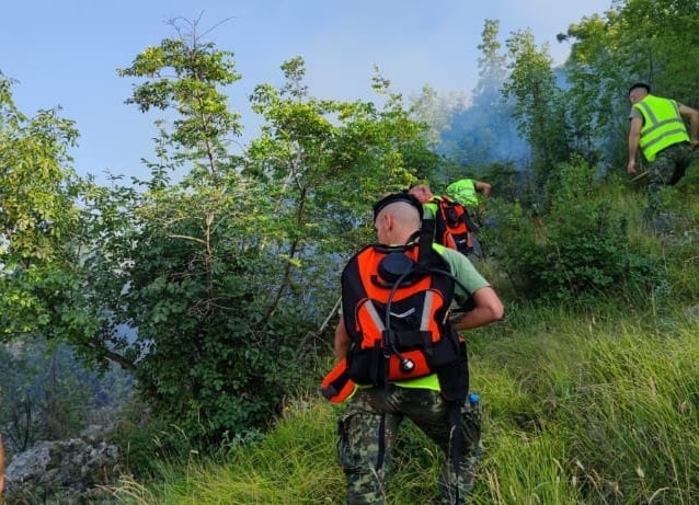 Shuhen pas disa orësh pesë vatrat e zjarrit në vend, ministria e Mbrojtjes: Aktualisht nuk kemi asnjë aktive 656DD85A B02E 4967 9322 918C0D42B486