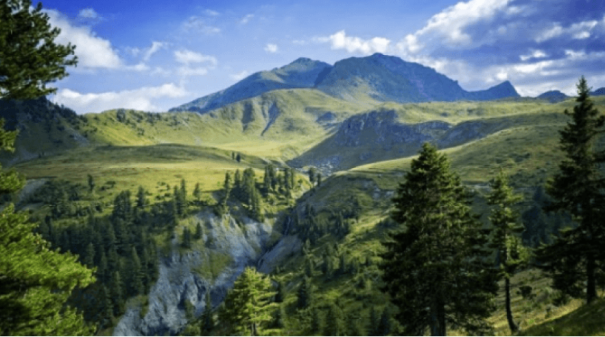 U rrëzua nga “Bjeshkët e Fushës së Lugjeve”, ndërron jetë 55-vjeçari në Mirditë Untitled 10