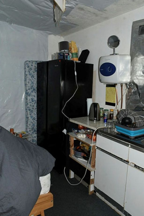 Shqiptari kapet mes "xhunglës" së kanabisit në Angli/ 26-vjeçari jetonte si skllav: Punoj si kopshtar se duhet të shlyej borxhin ndryshe do më vrasin familjen 3 image 12