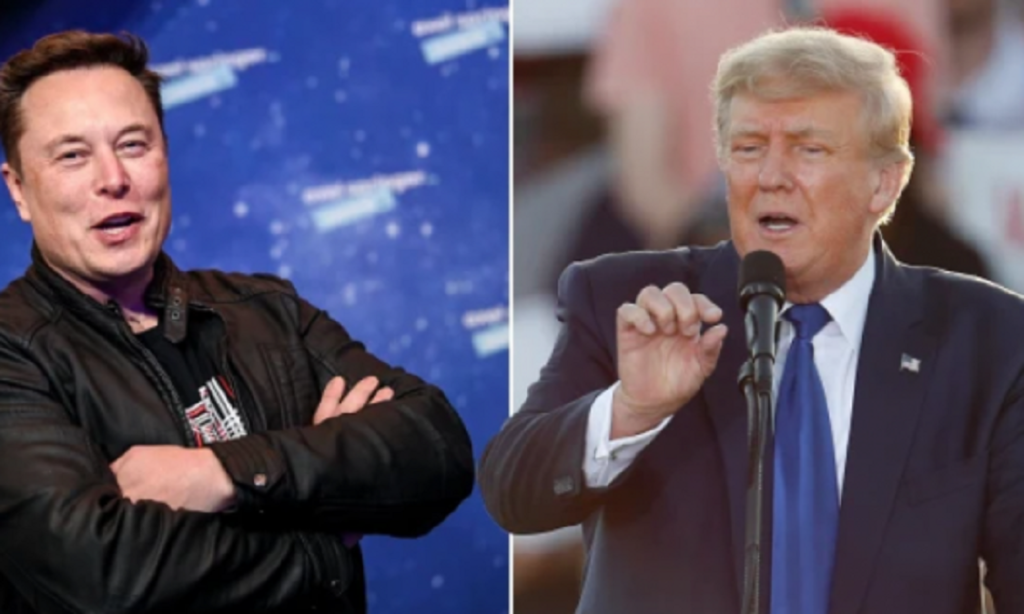 trump musk