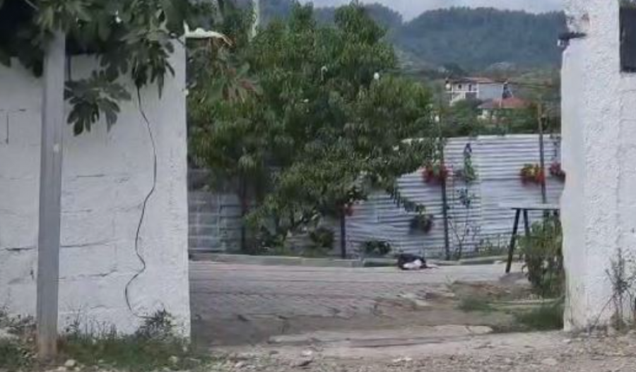Shoferi i dehur që i mori jetën 25-vjeçares, e sapo martuar dhe për pak ditë do ikte në Angli auto aks1661933374