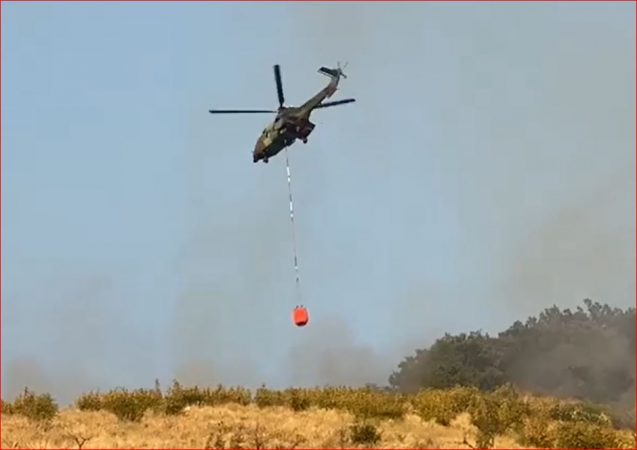 VIDEO/ Zjarri në zonën e Mirditës rrezikon banesa e vreshta rgre 637x450 1