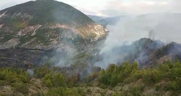 Zjarri në Berat shkrumbon sipërfaqen me pisha, kërkohet ndërhyrja nga ajri zjarr berat