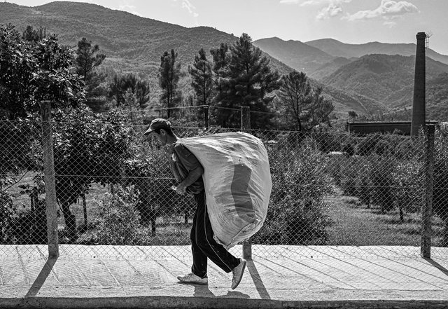 Ben Blushi / Duke kërkuar spiunët rusë në Gramsh 640 0 1662193370x305101513 615567143475864 5339922102384812879 n 203