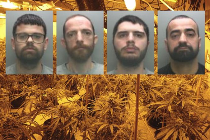 Kapen shqiptarët me “shtëpi bari” në Britani, vidhnin çdo ditë 11 mijë paund energji cannabis haul.png.gallery 675x450 1