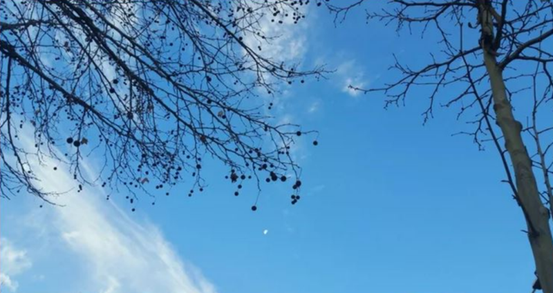 Ja parashikimi i motit për sot dhe sa do shkojnë temperaturat BB7D9FD9 A8DD 42D1 8D33 0233FA75D4E4