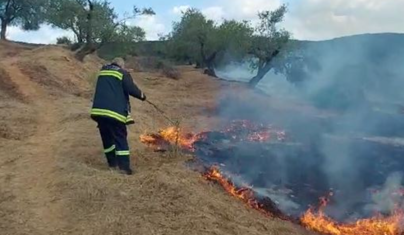 Zjarr i madh në Delvinë, digjen qindra rrënjë ullinj Screenshot 21 7