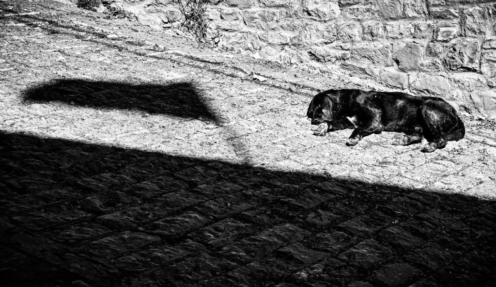 317559519 679849130380998 4088754839382185753 n