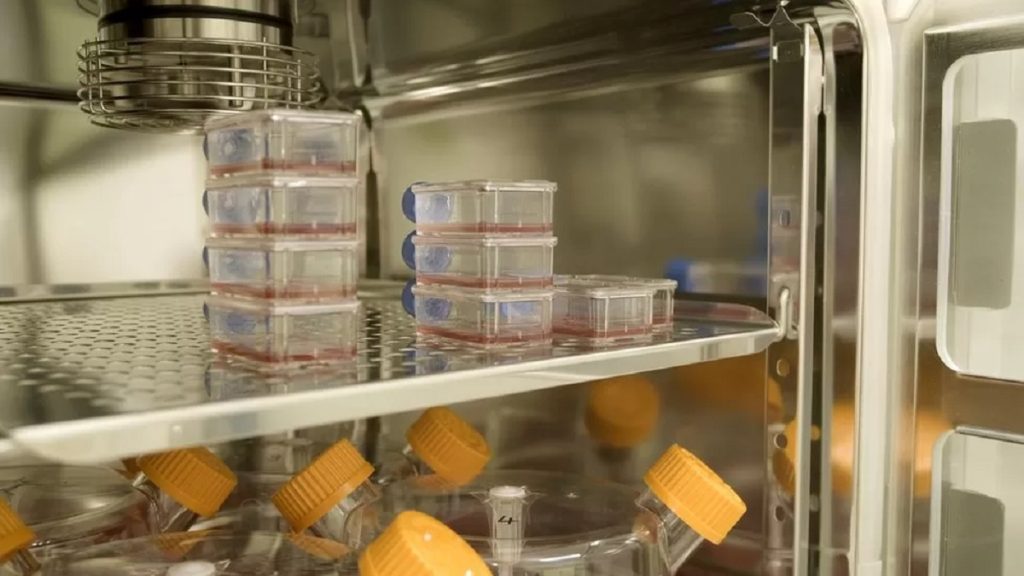 Zhvillohet testi i parë për gjakun laboratorik gjak