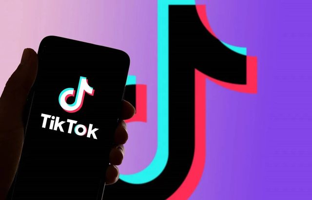 “Bie” Tik Tok-u, përdoruesit probleme me logimin dhe ngarkimin e videove tik tok