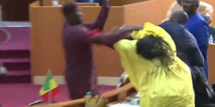 VIDEO/ Dhunë në Parlament, deputeti godet me shuplakë kolegen e tij shuplake